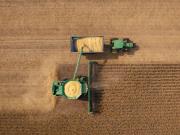 ¿El Gobierno se queda sin el colchón del agro? Advierten que el aporte de dólares para fin de año caería hasta cinco veces