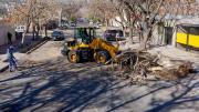 El viento Zonda afectó a Rivadavia, Lavalle y Luján de Cuyo con árboles y postes caídos más apagones