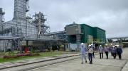 Reportan que planta de urea lleva parada casi una semana y pérdidas ascienden a $us 800 mil diarios
