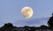 ¿Qué es y cómo ver la Luna del Cazador de octubre 2025?