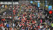 Masiva demostración de fe: pese a la lluvia, cientos de miles de fieles marcharon a Luján