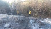 Controlaron varios incendios de pastizales en distintos puntos de la capital salteña