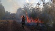 Con el apoyo de brigadistas nacionales, se combaten incendios forestales en el norte salteño