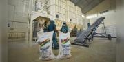 Emapa trabaja con 36.177 productores y logra incrementar en 30% rendimiento de cultivos de arroz, maíz y trigo