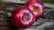 Dieta para bajar de peso con manzanas: el plan para adelgazar 7 kilos en 5 días