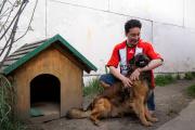 El deseo de no tener hijos y adoptar animales: Ser padres es una fuerte responsabilidad y es más fácil cubrir ese nicho afectivo con un animal