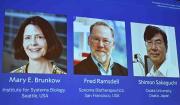 Nobel de Medicina 2025 a avances sobre el sistema inmune