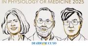 Premio Nobel de Medicina: Brunkow, Ramsdell y Sakaguchi, reconocidos por sus hallazgos sobre la tolerancia inmunitaria