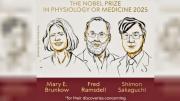El Nobel de Medicina fue para científicos que estudian la tolerancia inmune periférica