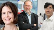Quiénes ganaron el premio Nobel de Medicina 2025: el descubrimiento de los tres científicos premiados