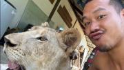 Un influencer tenía una leona como mascota pero se le escapó y atacó a dos personas