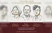 El premio Nobel de Medicina 2025 fue otorgado a Mary E. Brunkow, Fred Ramsdell y Shimon Sakaguchi