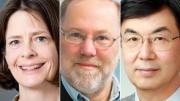 Otorgan el Premio Nobel de Medicina 2025 a tres investigadores de la ciencia del sistema inmune