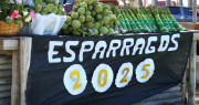 La Fiesta del Espárrago y el Alcaucil: sabor y disfrute en el Médano de Oro