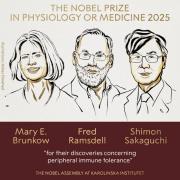 El Premio Nobel de Medicina 2025 fue para tres investigadores del sistema inmunitario