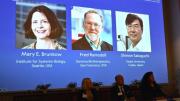 Dos científicos estadounidenses y uno japonés recibieron el Premio Nobel de Medicina