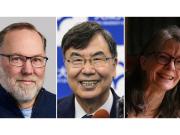 El Nobel de Medicina y una incógnita: por qué algunas enfermedades autoinmunes tienen tratamiento y otras no