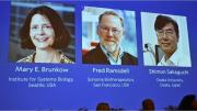 El premio Nobel de Medicina fue para tres científicos por sus investigaciones en inmunología