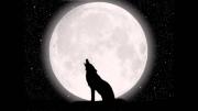 Llega la luna llena en octubre 2025, que será más grande y brillante de lo normal: el significado de esta “superluna”