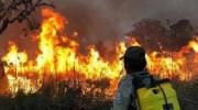 La UE elogia “compromiso climático” del Luis Arce en medio de la peor temporada de incendios de la historia