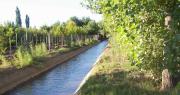 Policías rescataron a una menor arrastrada por un canal en Santa Lucía