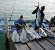 En medio del enfrentamiento entre Estados Unidos y Venezuela, los pescadores de Trinidad y Tobago temen por sus vidas y sus empleos