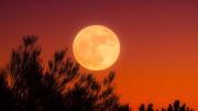 Octubre llegó con la “superluna de cosecha”: Qué es, cuándo y cómo verla en Estados Unidos