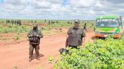 Gobierno despliega 350 policías para recuperar predios avasallados en Guarayos