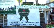 La realidad del espárrago en San Juan: menos de 150 hectáreas en los últimos 4 años y la lucha de los productores por sostener la producción