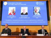 Nobel de Física: dónde está la barrera entre lo chico y lo grande, el aporte de los premiados