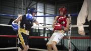 Guantes de Oro: comienza el tradicional Campeonato Provincial de boxeo amateur en el Pascual Pérez