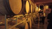 Vitícolas piden al Senado frenar ley que cobra impuesto al vino y singani