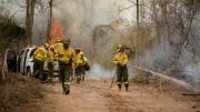 Un incendio ya devoró 900 hectáreas en el departamento Orán