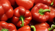 El pimiento tiene grandes cantidades de vitamina C y numerosos beneficios