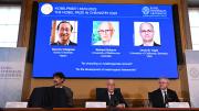 El Premio Nobel de Química fue para tres científicos por el desarrollo de estructuras metal-orgánicas