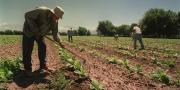 Efemérides del 8 de octubre: Día del Trabajador Rural y otros hechos importantes