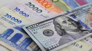 Vuelven los dolarizadores: economistas insisten ante el inminente rescate de EE.UU.