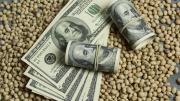 Alerta dólar: exportadores le anticiparon al FMI que la liquidación se desplomará hasta fin de año