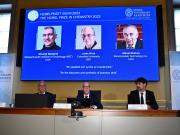 Premio Nobel de Química a tres científicos por el desarrollo de estructuras metalorgánicas: qué son y para qué se usan