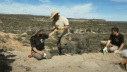 Increíbles hallazgos y pistas de un dinosaurio saurópodo en el tercer día de la expedición del Conicet cerca de Roca