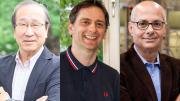 Otorgan el Premio Nobel de Química por el desarrollo de una nueva forma de arquitectura molecular