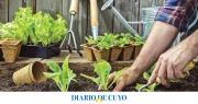 Qué sembrar en octubre en nuestra huerta: consejos útiles