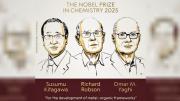 El Premio Nobel de Química fue para científicos que desarrollaron estructuras metalorgánicas