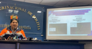 Identifican pistas clandestinas cerca de dos áreas protegidas en Santa Cruz, según informe del viceministro Calvimontes