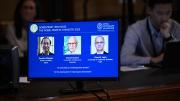 Los “arquitectos moleculares” se llevan el Nobel de Química