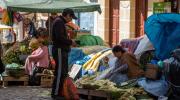 Comité ciudadano pide a los candidatos elaborar compromisos claros para garantizar el derecho a la alimentación