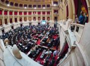 Sesión en Diputados: la denuncia de Manes contra Menem