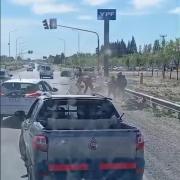 Furia en la Ruta 7: golpes, insultos y piedras plena hora pico en Neuquén