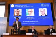 Premio Nobel de Química 2025: cómo son las estructuras que pueden salvar el planeta