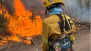 Siguen los incendios en Hipólito Yrigoyen y Colonia Santa Rosa